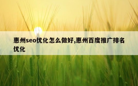 惠州seo优化怎么做好,惠州百度推广排名优化