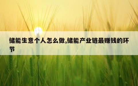 储能生意个人怎么做,储能产业链最赚钱的环节