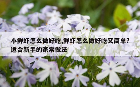 小鲜虾怎么做好吃,鲜虾怎么做好吃又简单?适合新手的家常做法