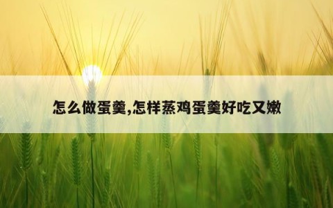 怎么做蛋羹,怎样蒸鸡蛋羹好吃又嫩