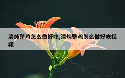 清炖整鸡怎么做好吃,清炖整鸡怎么做好吃视频