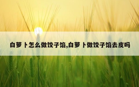 白萝卜怎么做饺子馅,白萝卜做饺子馅去皮吗
