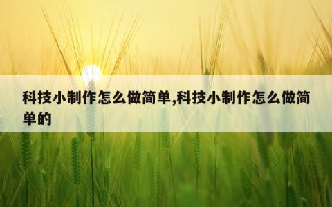 科技小制作怎么做简单,科技小制作怎么做简单的