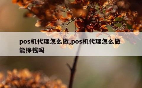pos机代理怎么做,pos机代理怎么做 能挣钱吗