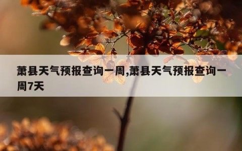 萧县天气预报查询一周,萧县天气预报查询一周7天