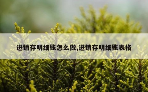 进销存明细账怎么做,进销存明细账表格
