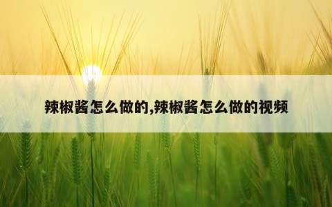 辣椒酱怎么做的,辣椒酱怎么做的视频