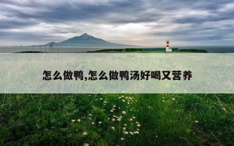 怎么做鸭,怎么做鸭汤好喝又营养