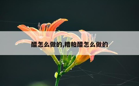 醋怎么做的,糟粕醋怎么做的