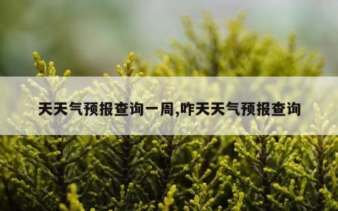 天天气预报查询一周,咋天天气预报查询