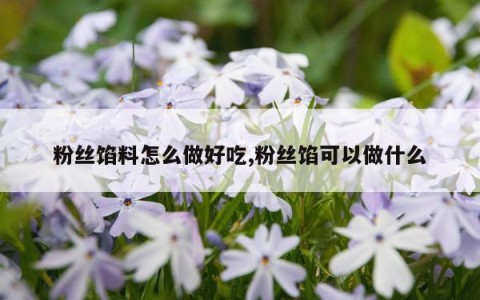 粉丝馅料怎么做好吃,粉丝馅可以做什么