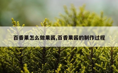 百香果怎么做果酱,百香果酱的制作过程