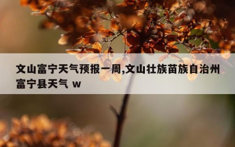 文山富宁天气预报一周,文山壮族苗族自治州富宁县天气 w