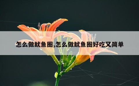 怎么做鱿鱼圈,怎么做鱿鱼圈好吃又简单