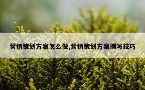 营销策划方案怎么做,营销策划方案撰写技巧