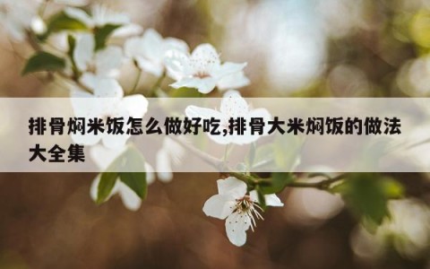 排骨焖米饭怎么做好吃,排骨大米焖饭的做法大全集