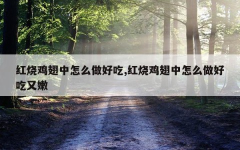 红烧鸡翅中怎么做好吃,红烧鸡翅中怎么做好吃又嫩