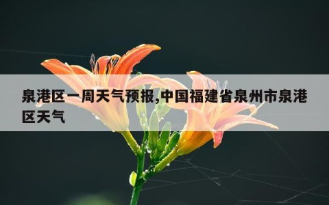 泉港区一周天气预报,中国福建省泉州市泉港区天气