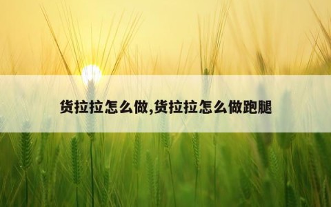 货拉拉怎么做,货拉拉怎么做跑腿