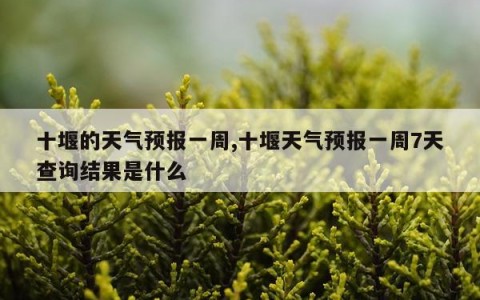 十堰的天气预报一周,十堰天气预报一周7天查询结果是什么