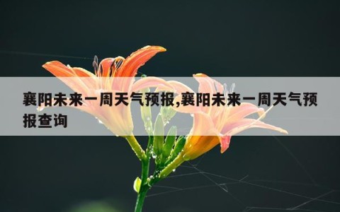 襄阳未来一周天气预报,襄阳未来一周天气预报查询
