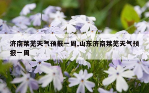济南莱芜天气预报一周,山东济南莱芜天气预报一周