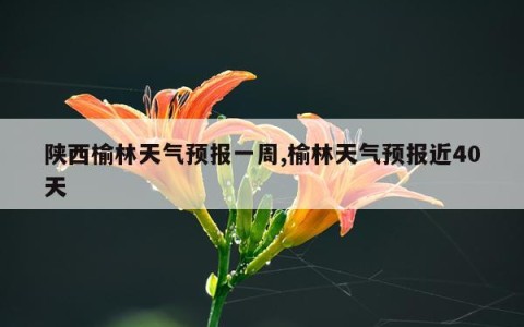 陕西榆林天气预报一周,榆林天气预报近40天