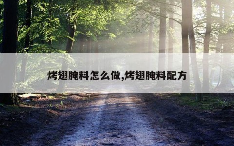 烤翅腌料怎么做,烤翅腌料配方
