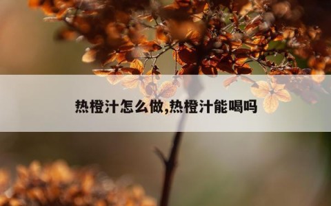 热橙汁怎么做,热橙汁能喝吗