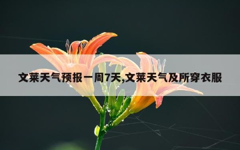 文莱天气预报一周7天,文莱天气及所穿衣服