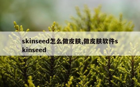skinseed怎么做皮肤,做皮肤软件skinseed
