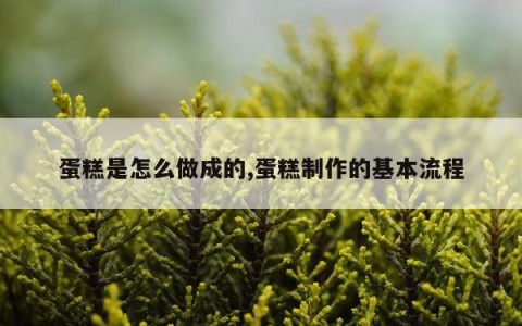 蛋糕是怎么做成的,蛋糕制作的基本流程