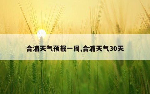合浦天气预报一周,合浦天气30天