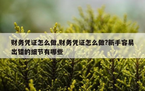 财务凭证怎么做,财务凭证怎么做?新手容易出错的细节有哪些