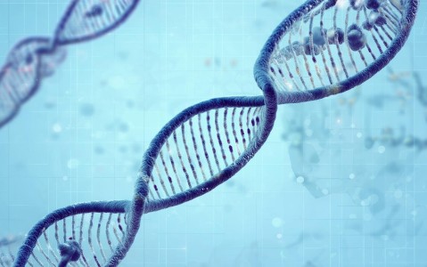 初二上学期生物必背知识点总结，掌握科学学习方法很关键