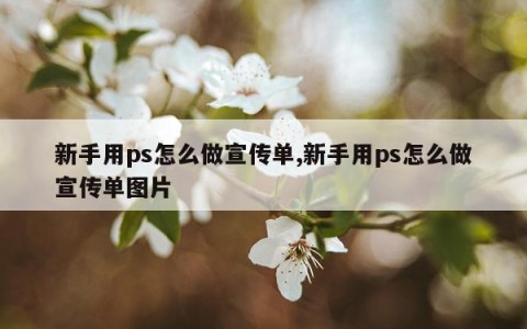 新手用ps怎么做宣传单,新手用ps怎么做宣传单图片