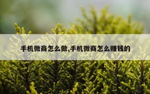 手机微商怎么做,手机微商怎么赚钱的