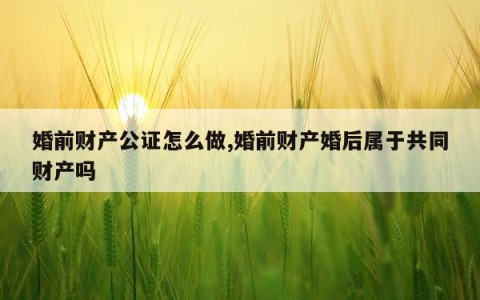 婚前财产公证怎么做,婚前财产婚后属于共同财产吗