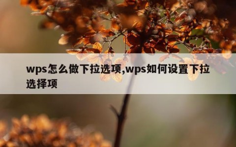 wps怎么做下拉选项,wps如何设置下拉选择项