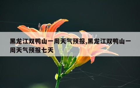 黑龙江双鸭山一周天气预报,黑龙江双鸭山一周天气预报七天