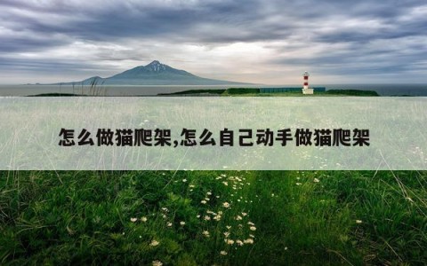 怎么做猫爬架,怎么自己动手做猫爬架