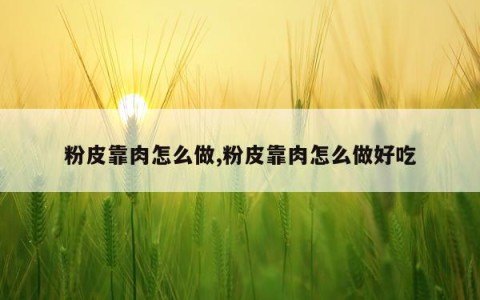 粉皮靠肉怎么做,粉皮靠肉怎么做好吃