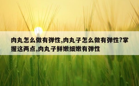 肉丸怎么做有弹性,肉丸子怎么做有弹性?掌握这两点,肉丸子鲜嫩细嫩有弹性