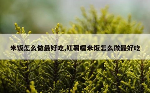 米饭怎么做最好吃,红薯糯米饭怎么做最好吃
