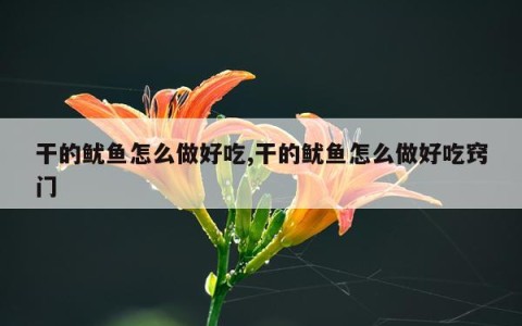 干的鱿鱼怎么做好吃,干的鱿鱼怎么做好吃窍门