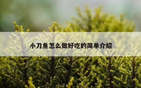 小刀鱼怎么做好吃的简单介绍