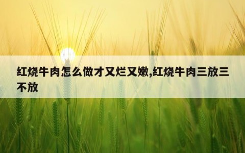 红烧牛肉怎么做才又烂又嫩,红烧牛肉三放三不放