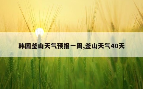 韩国釜山天气预报一周,釜山天气40天