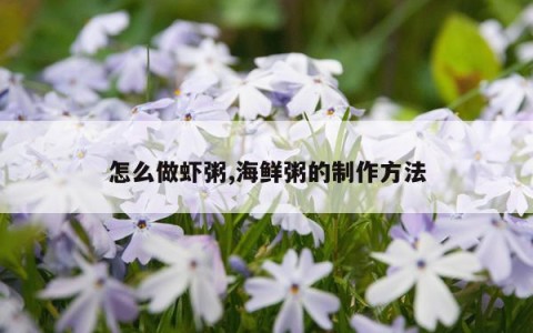 怎么做虾粥,海鲜粥的制作方法