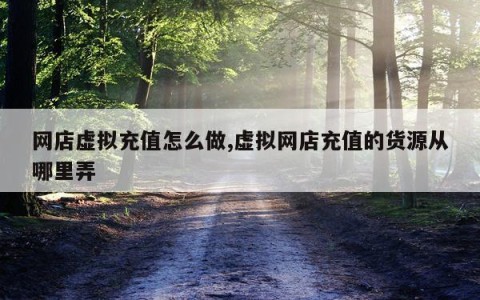 网店虚拟充值怎么做,虚拟网店充值的货源从哪里弄